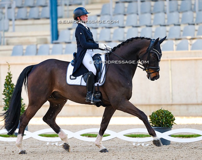 entdecken sie luxburg reitsport 2025 – die neuesten trends, events und innovationen im pferdesport. alles rund um reitausrüstung, veranstaltungen und aktuelle news in deutschland.